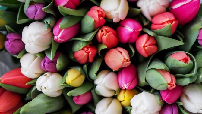 15 приятных дел, которые позволят почувствовать приход весны