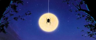 Арахнофобия - боязнь пауков, скорпионов и клещей
