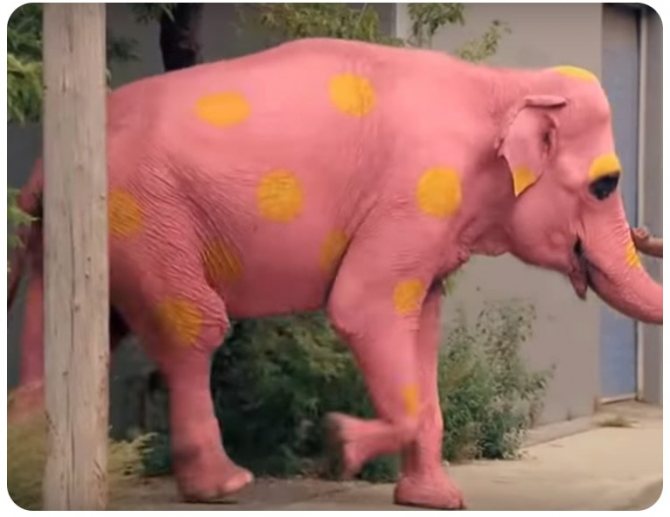 Как перестать думать о плохом.. Розовый слон
