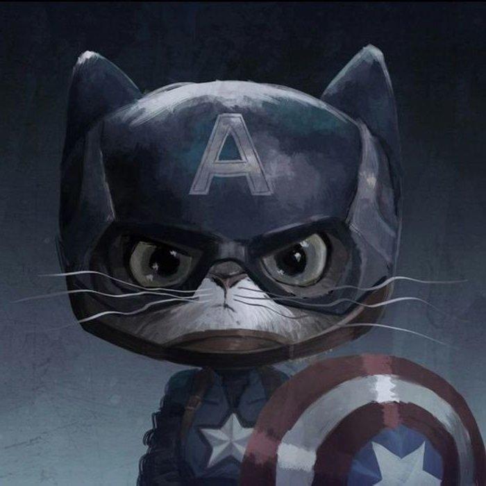 капитан америка кот