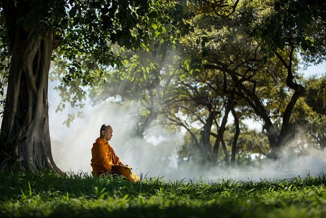 монах медитирует под деревом