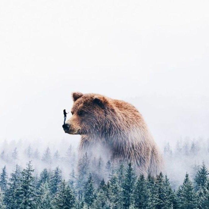 огромный медведь