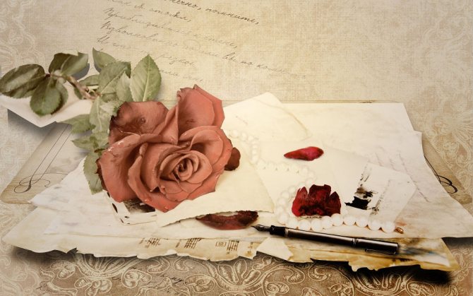 Пишем любовное письмо