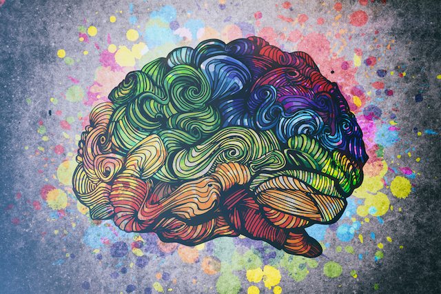 разноцветное изображение мозга