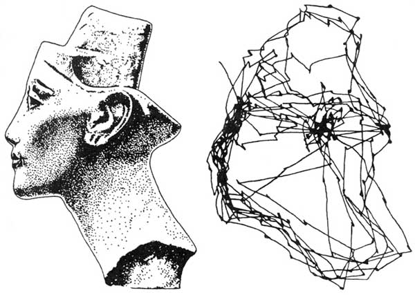 Рис. 1. Пример траектории движения глаз при рассматривании профиля Нефертити