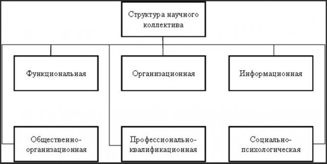 Структура коллектива и стадии его развития