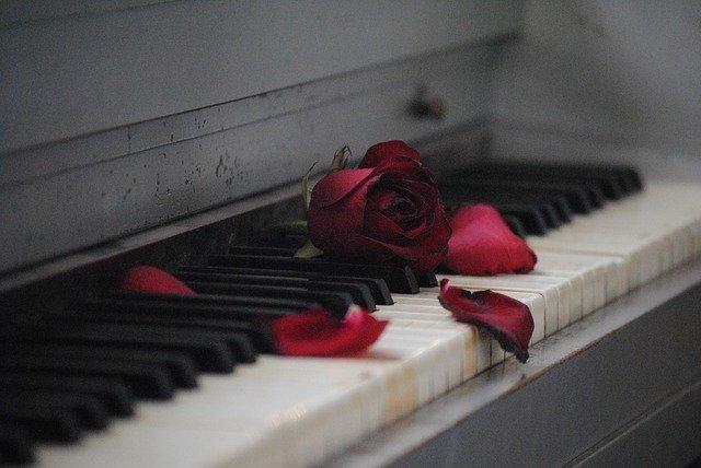 Завявшая роза на пианино