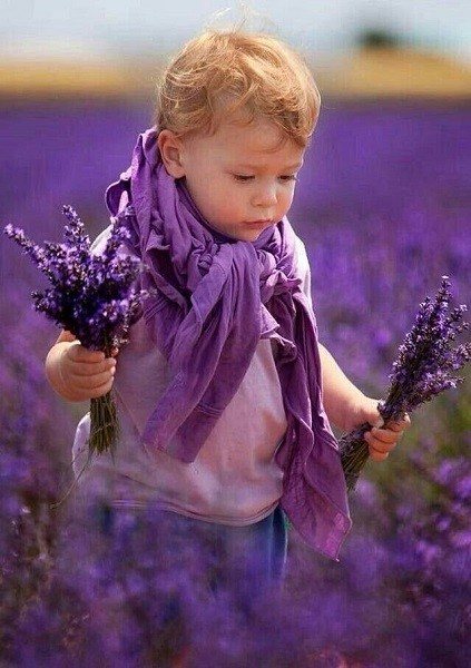 значение фиолетового цвета для детей