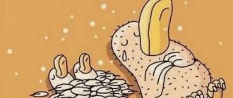 Значение слова «самопожертвование»